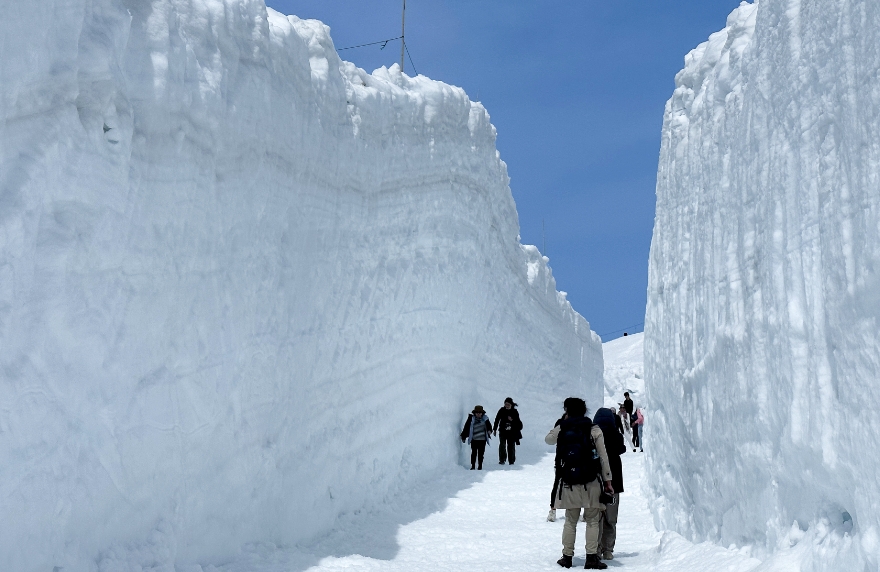 雪の回廊