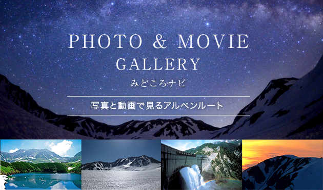 PHOTO&MOVIE GALLEY