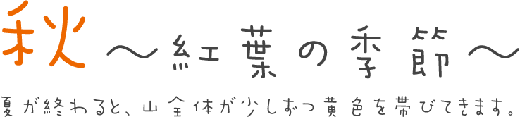 秋　〜紅葉の季節〜